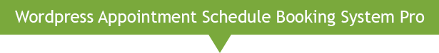 Wordpress Appointment Schedule Booking System Pro - 9